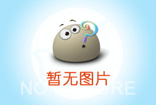 成华电动葫芦在钢结构安装中的运用